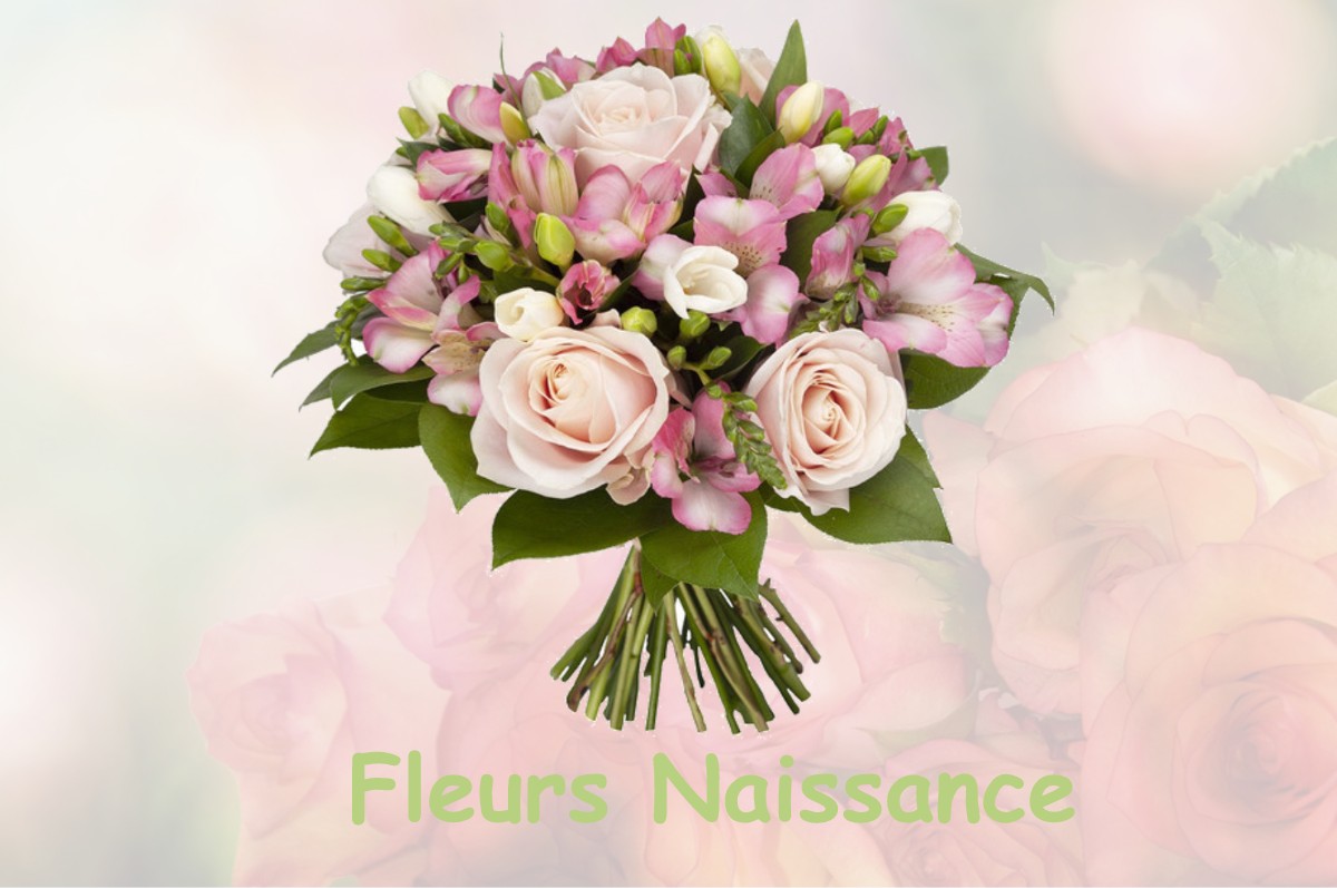 fleurs naissance BOU